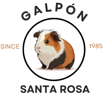 galpon_santa_rosa-removebg-preview-e1755652298782.png